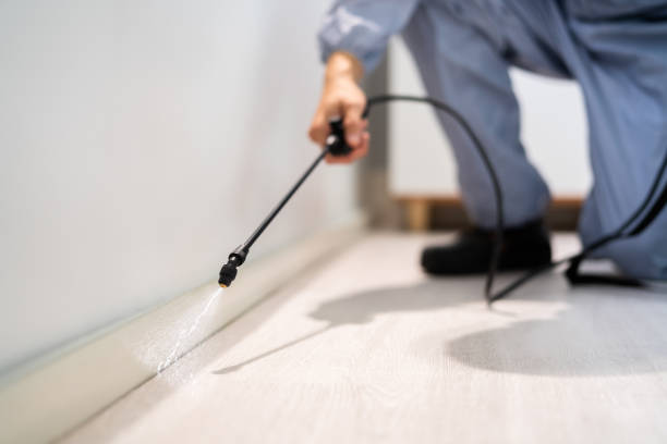 Licensed Termite Control service in Prairieville, LA - Nex Pest Control
