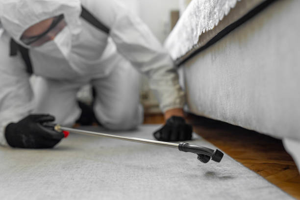 Professional Termite Control technician working in Prairieville, LA