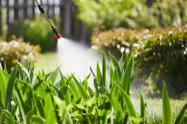 24/7 Emergency Termite Control experts in Prairieville, LA