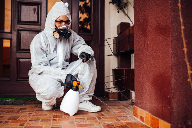 Reliable Termite Control contractor in Prairieville, LA by Nex Pest Control