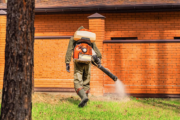 Trusted Cockroach Control service in Prairieville, LA - Nex Pest Control